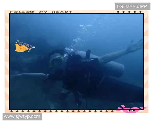 李伟亲授攀岩技巧与心得分享助你轻松征服高峰